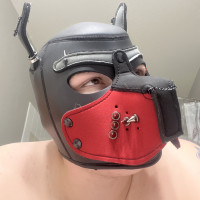 attaboyattakiss