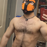 Pup Spike