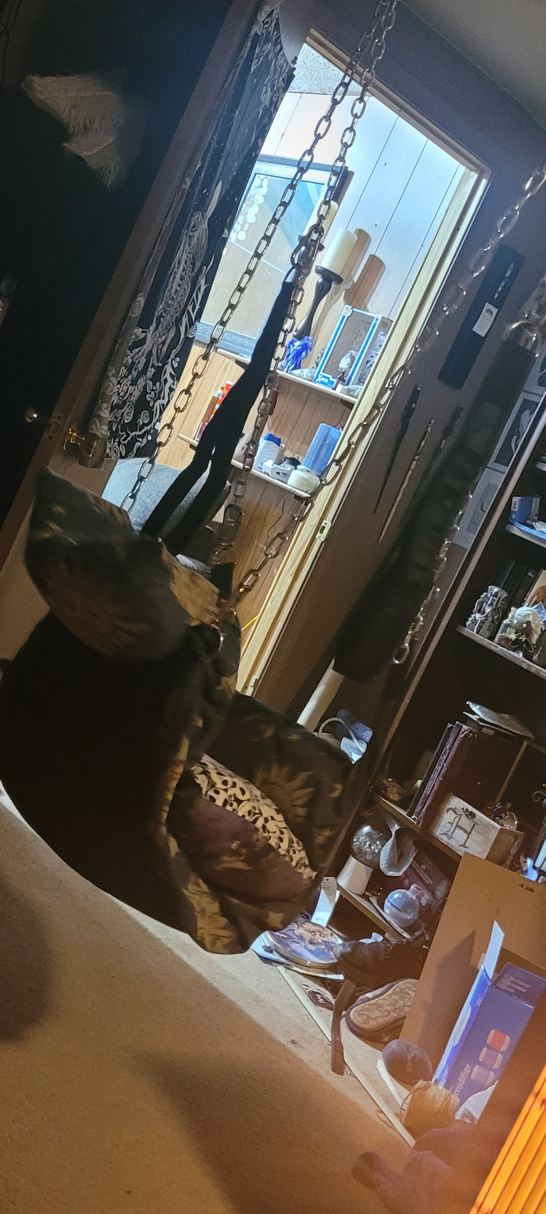 Wolfo liked his gift, and the puppy that was inside it ^^ <3